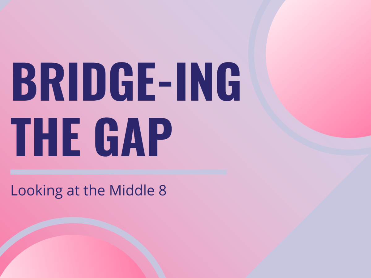 Bridge-ing the Gap
